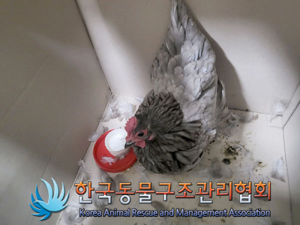 한국동물구조관리협회_441382202300648